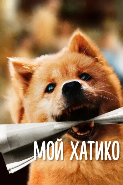 Мой Хатико — смотреть онлайн