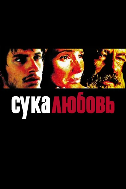 Сука-любовь — смотреть онлайн