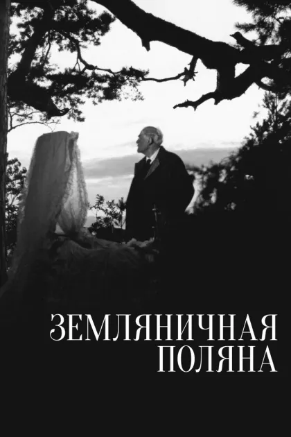 Земляничная поляна — смотреть онлайн