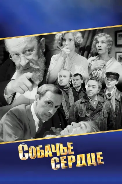Собачье сердце — смотреть онлайн