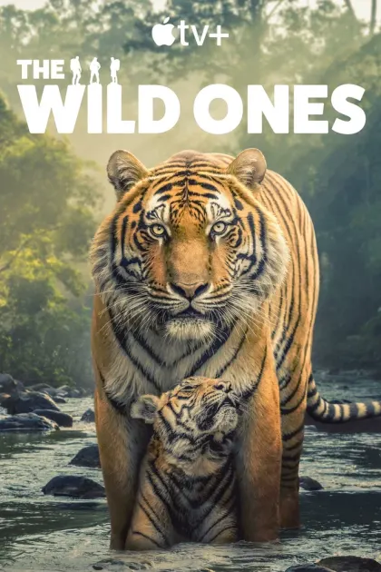 The Wild Ones — смотреть онлайн